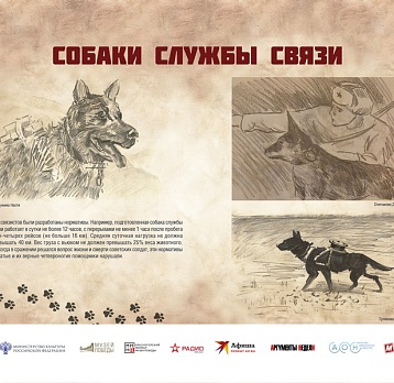 Мультимедийная выставка «Четвероногие герои»